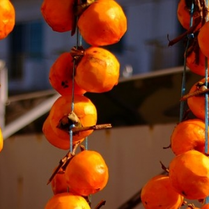 good tool for dried persimmon